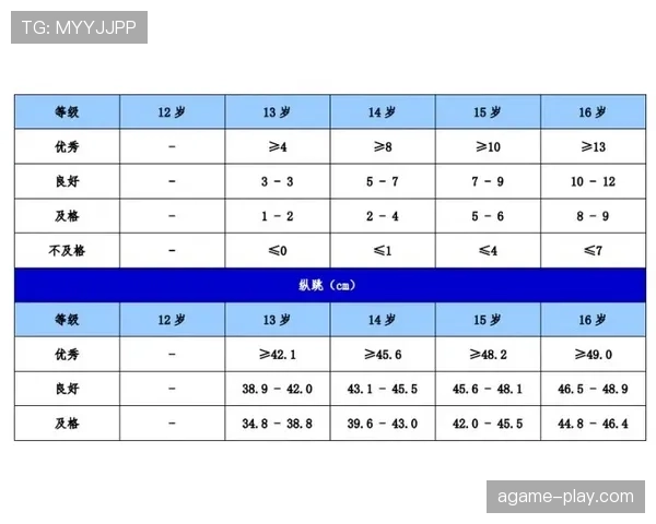 比赛用球规则详解：尺寸、材质及符合标准的关键判罚依据